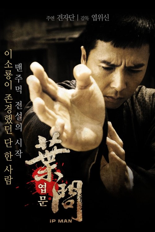 Poster Ip Man