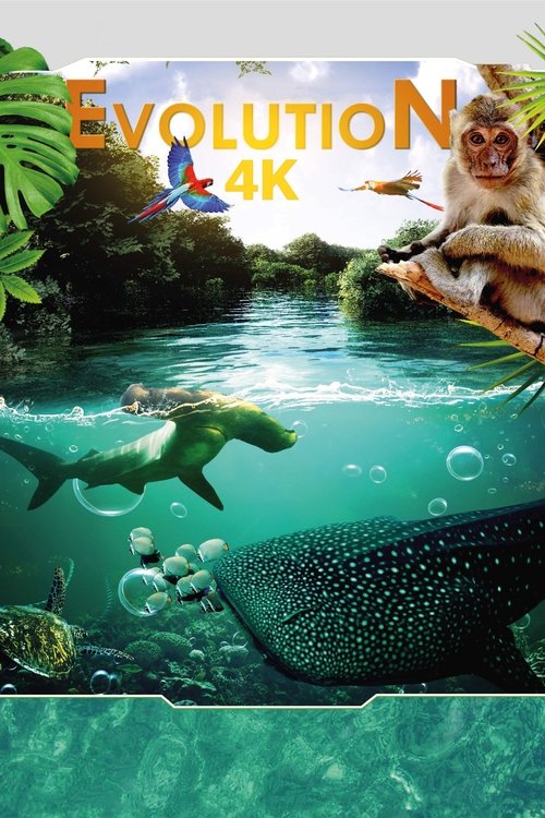 Poster Evolution 4K