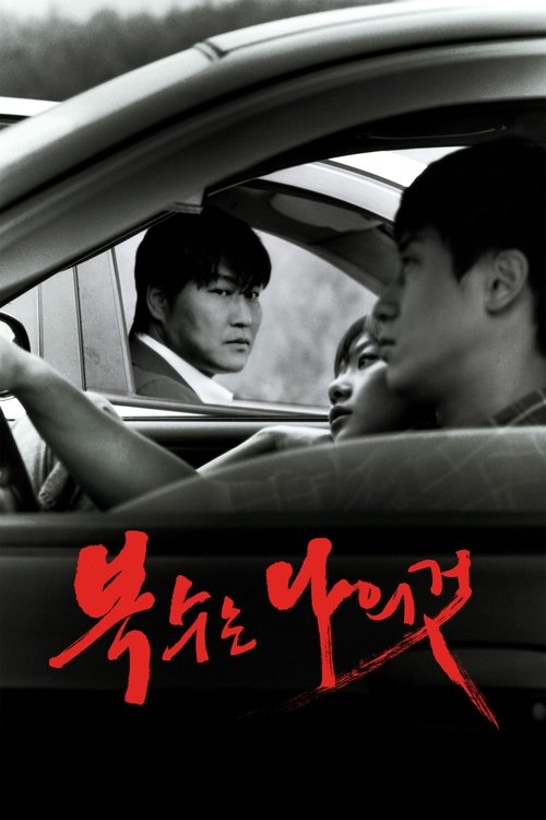 Poster Sympathy for Mr. Vengeance